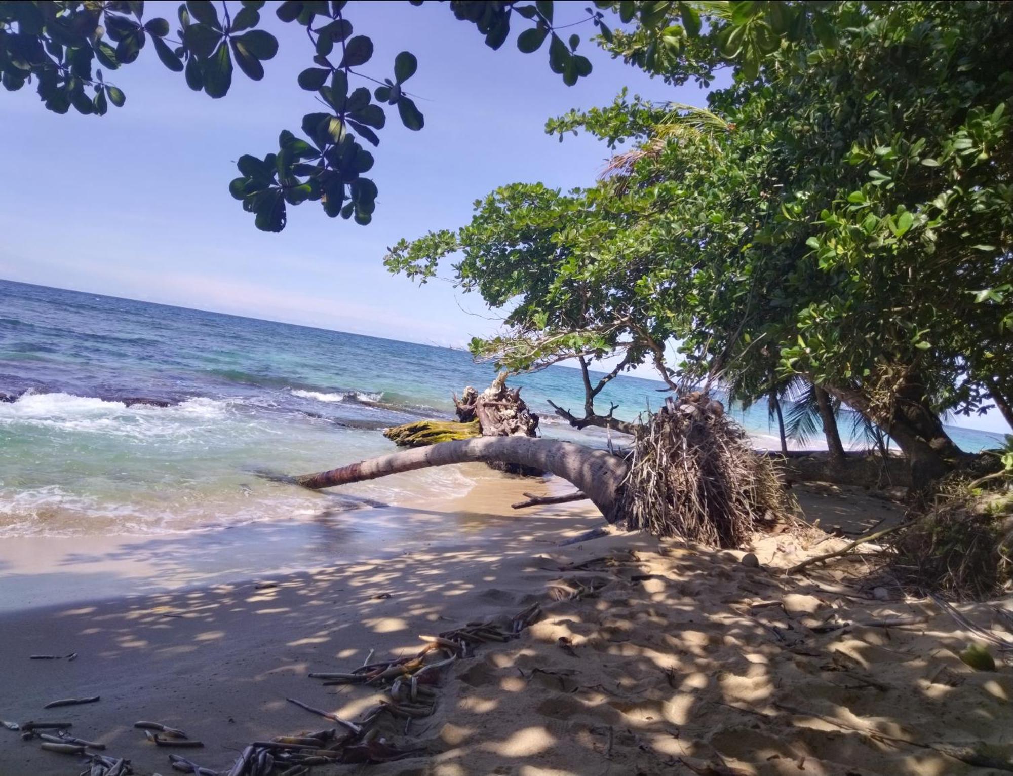 Serenity Houses Cahuita Exterior foto